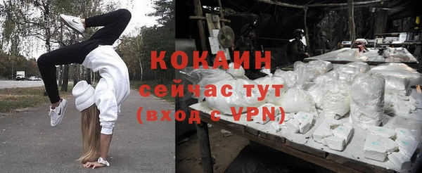 стафф Осташков