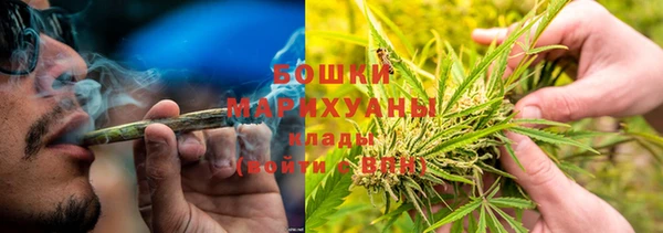 стафф Осташков