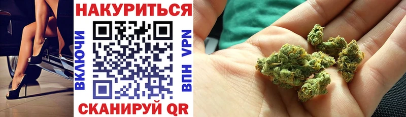 Бошки Шишки семена Серафимович
